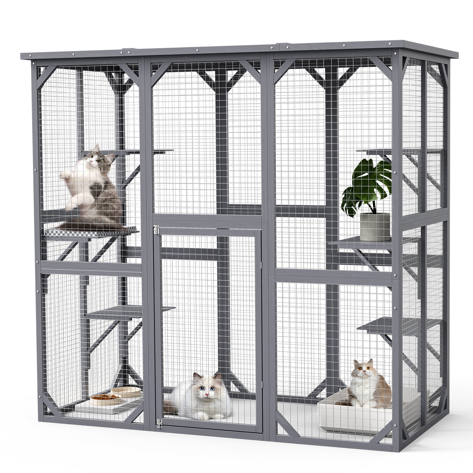 Large outdoor cat pens best sale